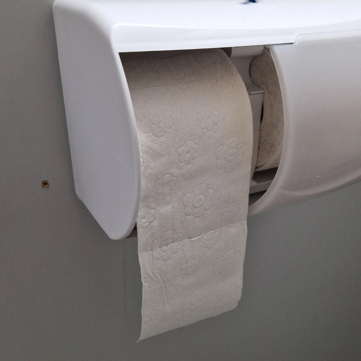 Toilettenpapier classic plus 2 lagig