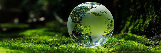 CSR, Umwelt, Nachhaltigkeit