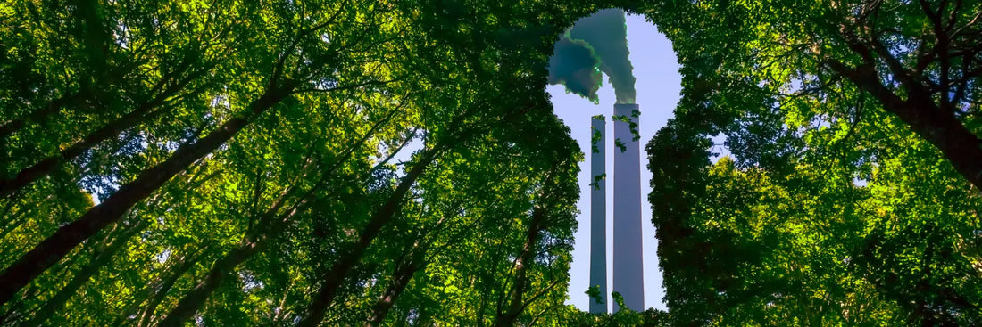 Greenwashing: Wie funktioniert der tatsächliche Weg zur Nachhaltigkeit?