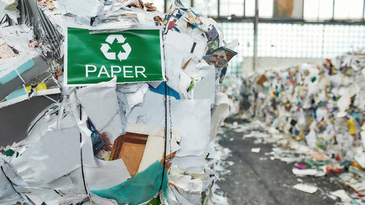 Was gehört ins Altpapier? Ein umfassender Ratgeber zur richtigen Papierentsorgung