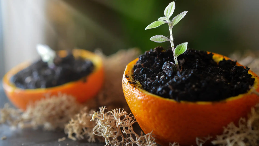 Zero-Waste: Mit weniger Abfall mehr erreichen