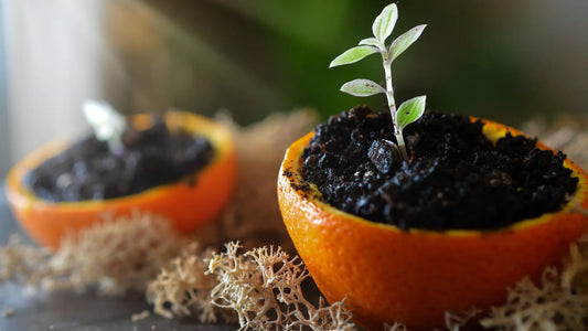 Zero-Waste: Mit weniger Abfall mehr erreichen