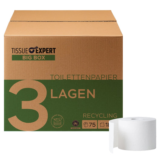 Toilettenpapier Big Box Recycling